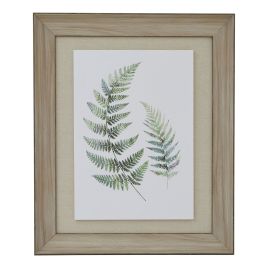 Watercolour Fern Duo Washed Wood Frame