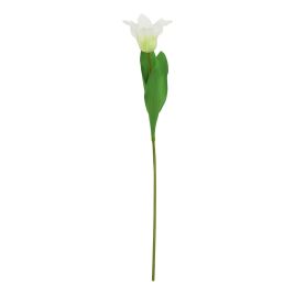 Natural Outdoor Collection White Parrot Tulip