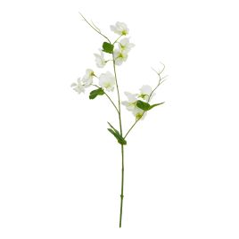 Natural Outdoor Collection White Sweetpea Stem