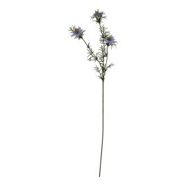 Natural Outdoor Collection Purple Nigella Love In A Mist