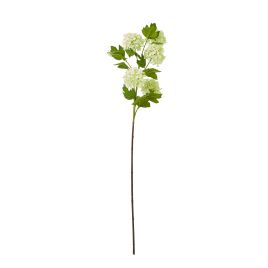 Blanor Green Snowball Viburnum Spray