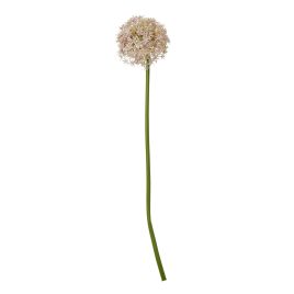 Lilac Allium Stem - Medium
