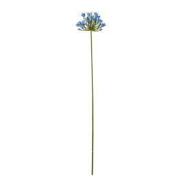 Blanor Blue Agapanthus Stem