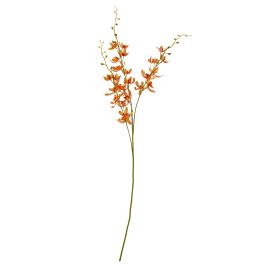 Blanor Orange Cymbidium Spray