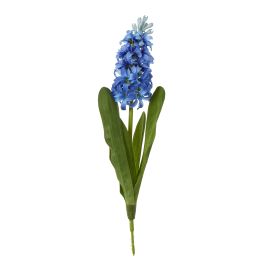 Blanor Blue Hyacinth Stem