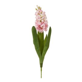 Blanor Pink Hyacinth Stem
