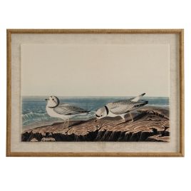 Flor Plovers Art In Beaded Frame