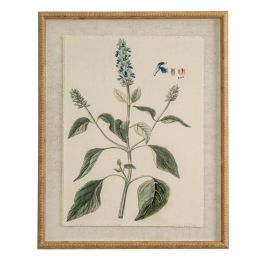 Flor Salvia Art In Beaded Frame