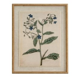 Flor Borage Art In Beaded Frame