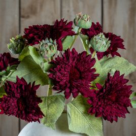 Dahlo Burgundy Raven Stem