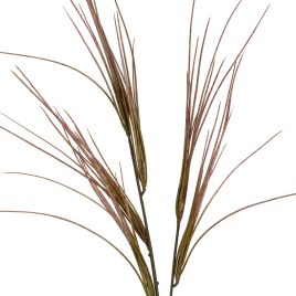 Bromo Grass Spray