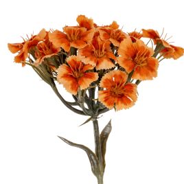 Blanor Orange Dianthus Spray