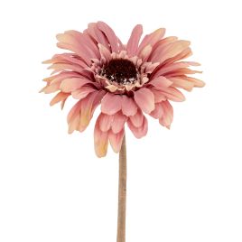 Blanor Pink Gerbera Stem