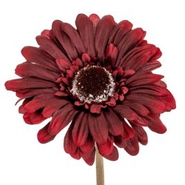 Burgo Gerbera Stem