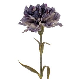 Purpo Carnation Stem