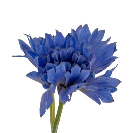 Blanor Blue Cornflower Stem