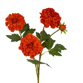 Blanor Orange African Marigold Spray - Large