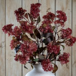 Purpo French Meadow Spray