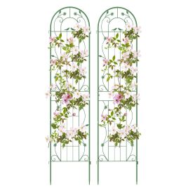 2 Pack Metal Garden Trellis for Climbing Plants Vegetables and Roses-Green