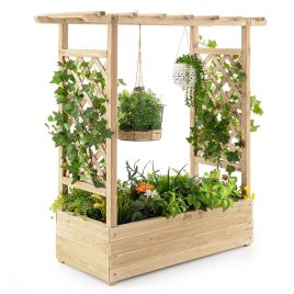 ZEVE Raised Garden Bed with Arch Trellis-Natural
