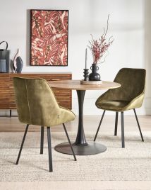DAZEXI Velvet Dining Chairs Set of 2 - Green