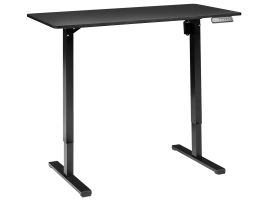TAAVRES Electric Adjustable Standing Desk 120 x 60 cm Black