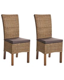 FENNLEIGH Rattan Dining Chairs - Set of 2 - Brown