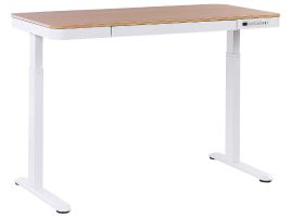 Electric Adjustable Standing Desk 120x60cm with USB port Light Wood and White
