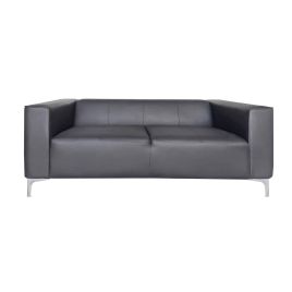2 Seater Sofa - ASTRU Leather Sofa - Grey