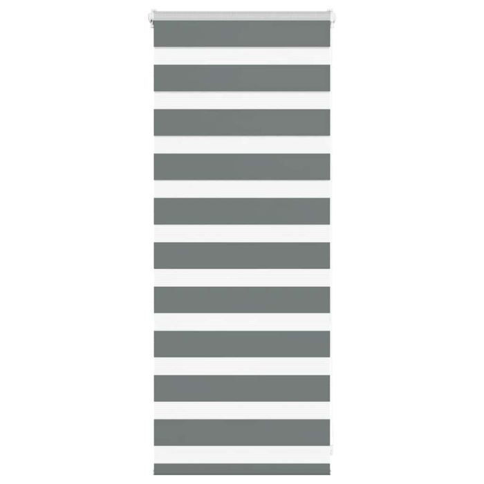 Zebra Blind Dark Grey 55x100 cm Fabric Width 50.9 cm Polyester