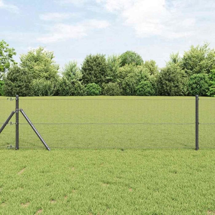 Welded Wire Fence Grey 0.8x50 m Steel