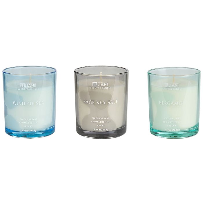 3 Soy Wax Scented Candles Bergamot / Wind of Sea / Sage Sea Salt