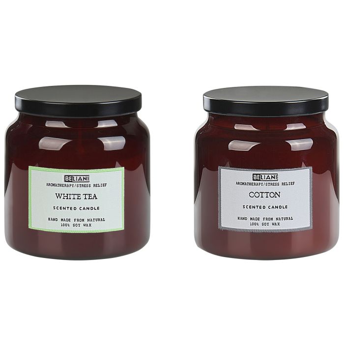 2 Soy Wax Scented Candles White Tea / Cotton