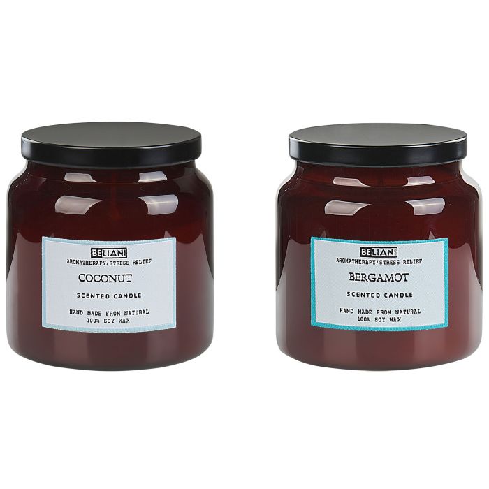 2 Soy Wax Scented Candles Bergamot / Coconut