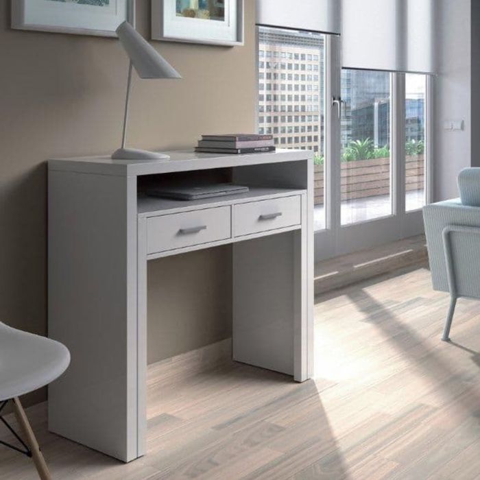 Modern Design 2 Drawer Desk - White