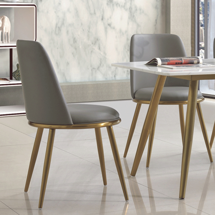 Kotzebue Fabric Dining Chair with Stainless Steel Legs Gold and Grey - Set of 2