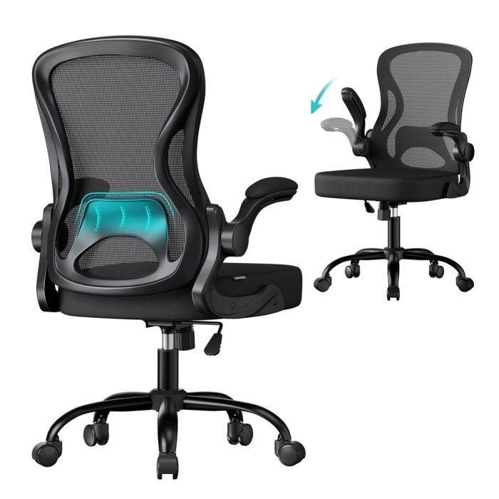 ALFIDY Ergonomic Office Chair - Ink Black