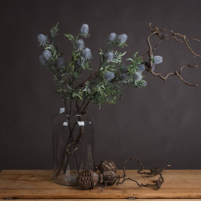 Eryngium Blue Thistle - Purple