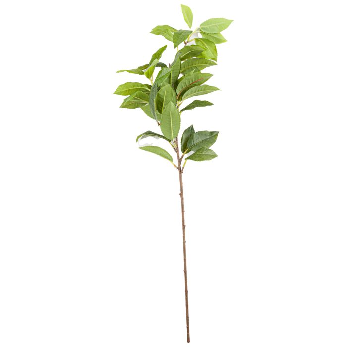 Laurel Leaf Spray - Green