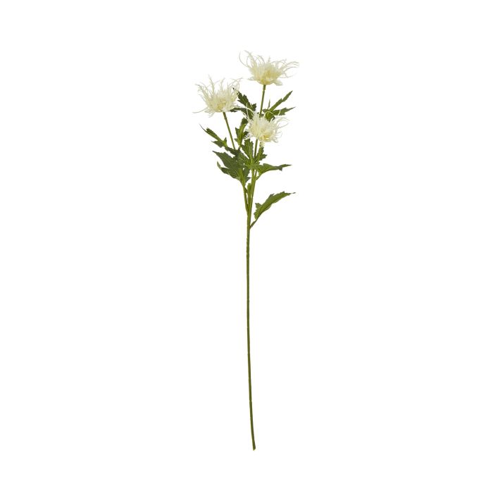 Cremo Sea Holly Spray