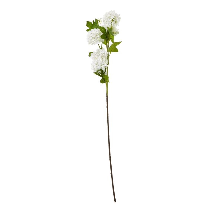 Cremo Snowball Viburnum Spray