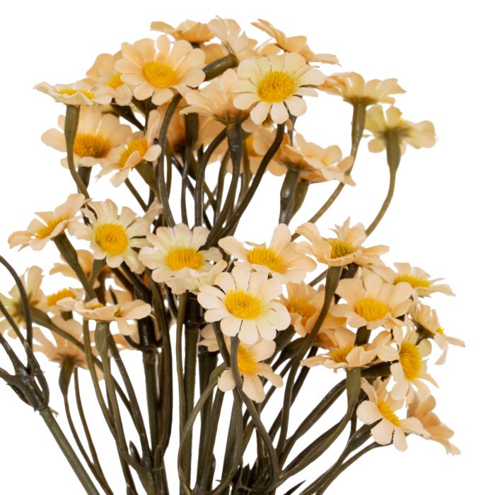 Cremo Daisy Bunch