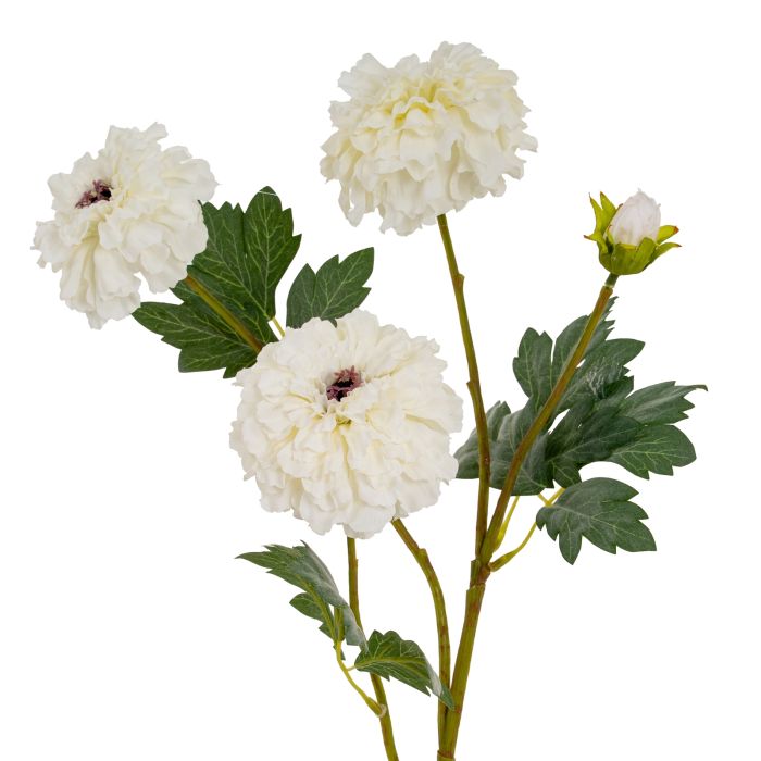 African Marigold Spray - Large - White