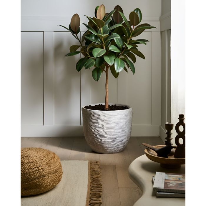 LATAXI Plant Pot - Light Grey