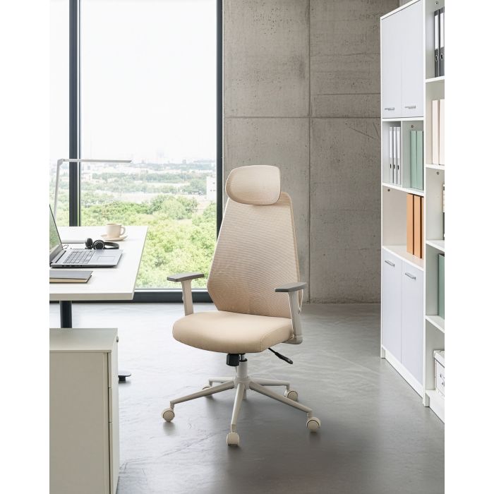 KAYARO Mesh Office Chair - Beige