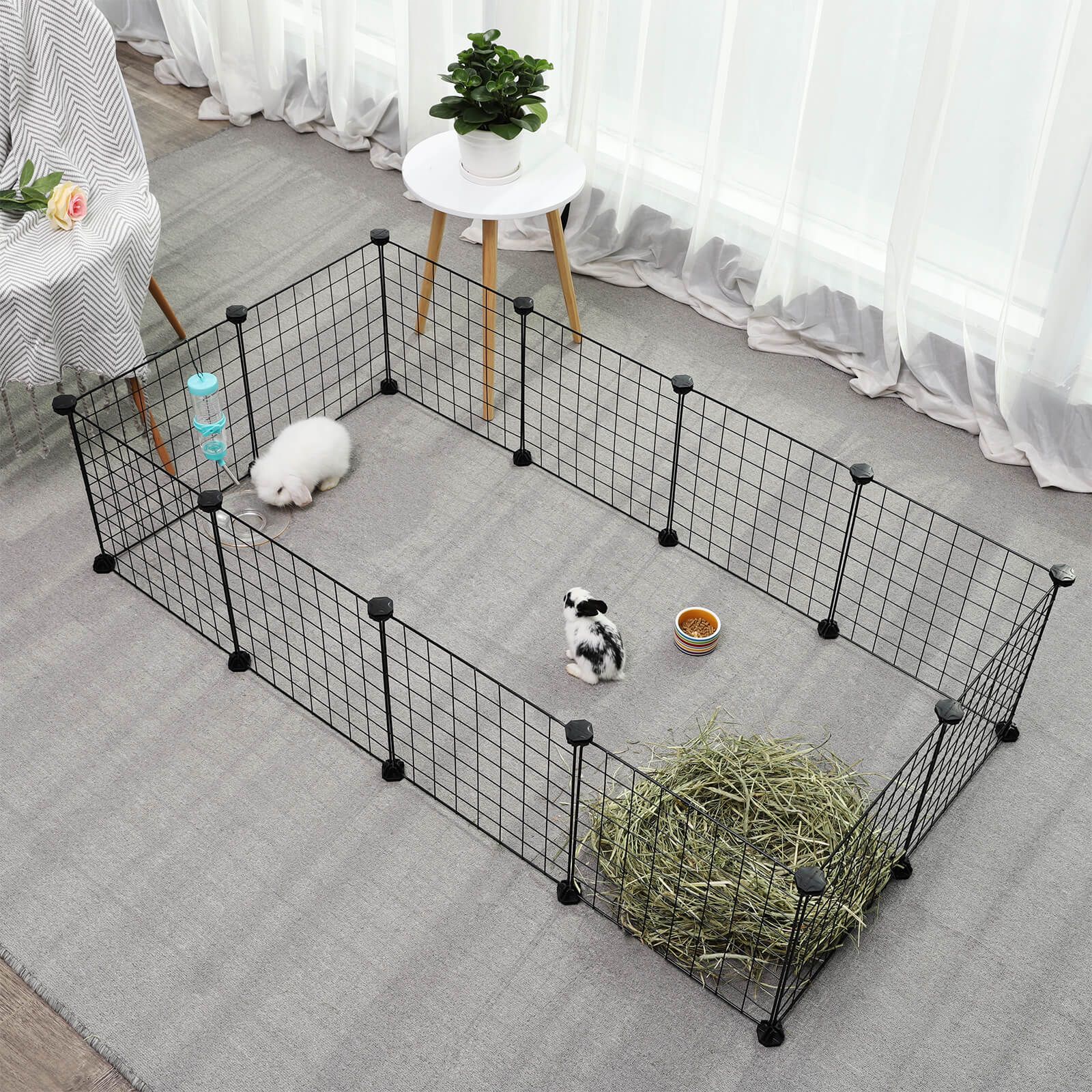 Guinea Pigs Cages