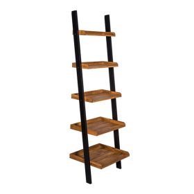 Copenhagen Ladder Style Bookcase Shelf 
