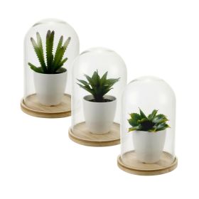 Decorative Artificial Plant Glass Dome Jar - 4 Types