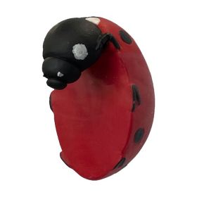 Fancse Decorative Pot Rim Hangers - Ladybird Theme - Set of 2