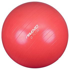 Avento Fitness/Gym Ball Dia. 75 cm Pink